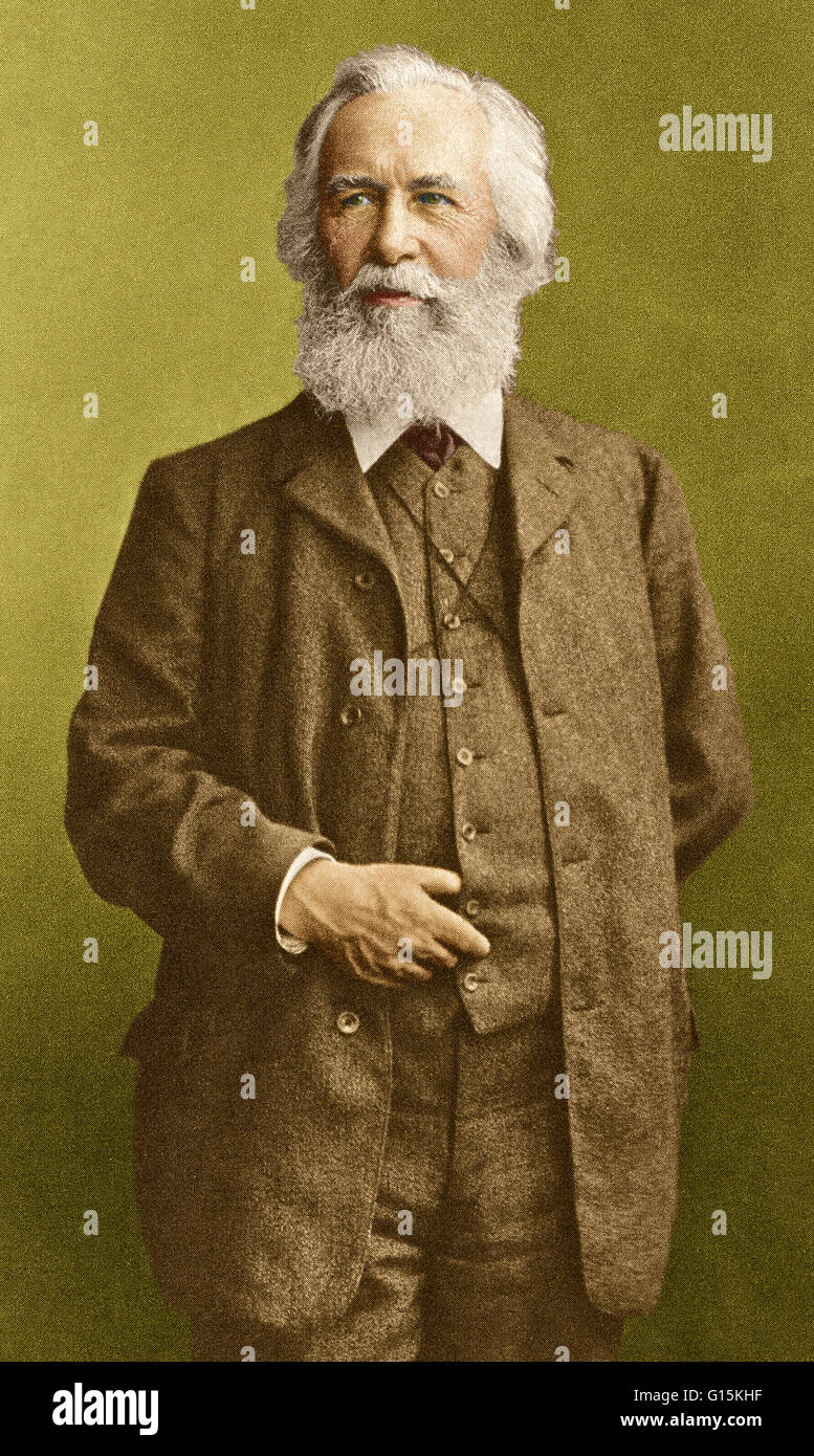 Renforcement de couleur portrait d'Ernst Heinrich Philipp August Haeckel (1834-1919), un éminent biologiste allemand, naturaliste, médecin, philosophe, professeur et l'artiste qui a découvert, décrit et nommé des milliers de nouvelles espèces, cartographié un arbre généalogique re Banque D'Images