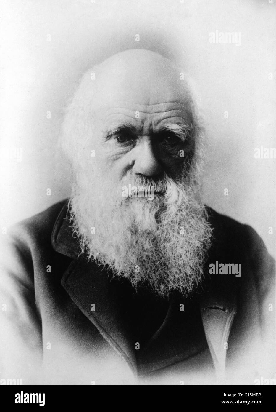 Charles Robert Darwin (1809-1882) était un naturaliste anglais. Il a établi que toutes les espèces de vie sont descendus dans le temps d'origine commune, et a proposé la théorie scientifique que cette évolution résulte de la ramification d'un processus qu'il Banque D'Images