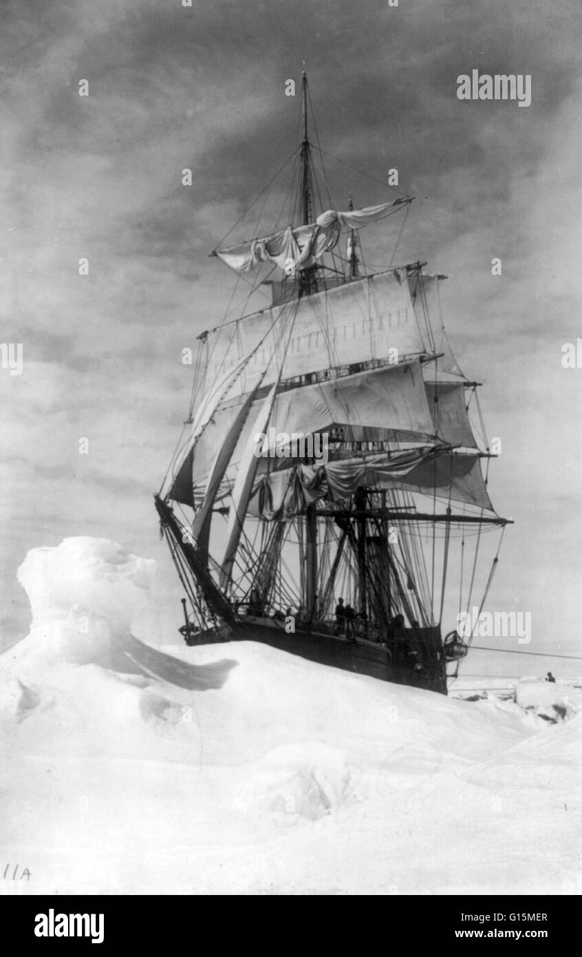Imprimer intitulé : 'Terra Nova dans les glaces dans le paquet, 1910 ou 1911." L'Amérique latine pour Terra Nova (Terre-Neuve) a été construit en 1884 pour la flotte baleinière et l'étanchéité de Dundee. Elle a travaillé pendant 10 ans dans la pêche au phoque annuelle dans la mer du Labrador, prouver sa valeur Banque D'Images