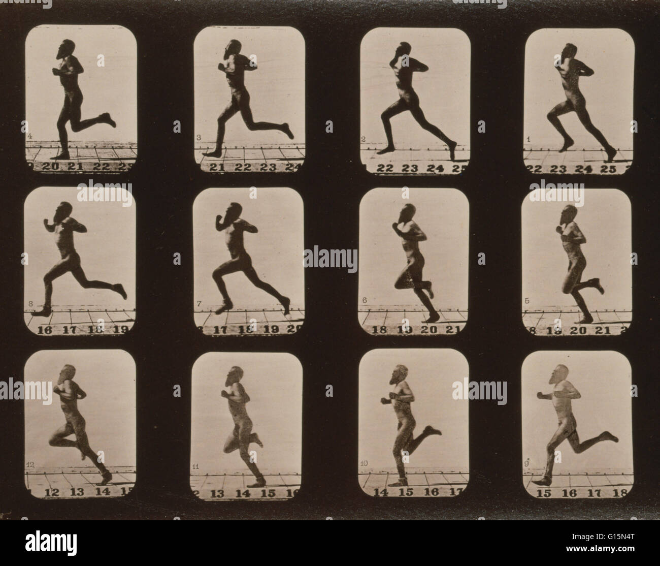 Muybridge la locomotion humaine, l'Homme en marche, 1881. La photographie montre 12 images consécutives d'un homme d'exécution. Eadweard James Muybridge (9 avril 1830 - 8 mai 1904) était un photographe anglais important pour son travail de pionnier dans le domaine des études du mouvement photographique Banque D'Images