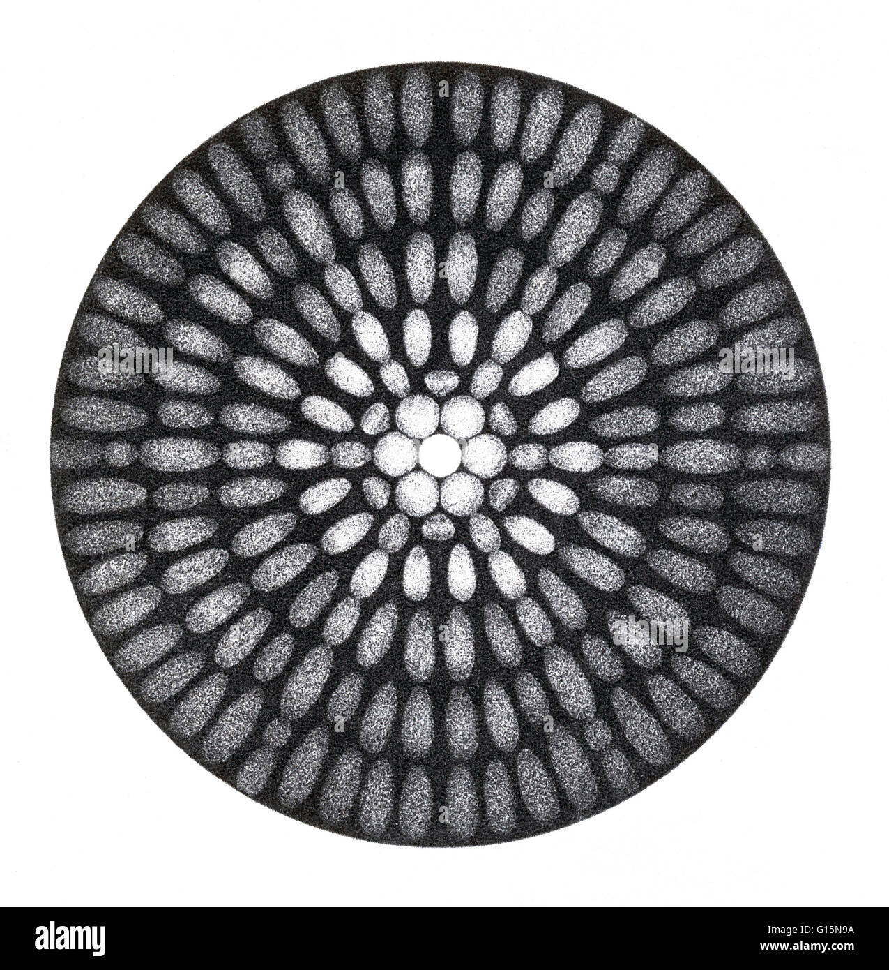 La Diffraction est le phénomène exposées par des fronts d'onde que, en passant le bord d'un corps opaque, sont modulés, causant ainsi une redistribution de l'énergie au sein de l'avant. C'est détectable dans des ondes de lumière par la présence d'un modèle de dar étroitement espacées Banque D'Images