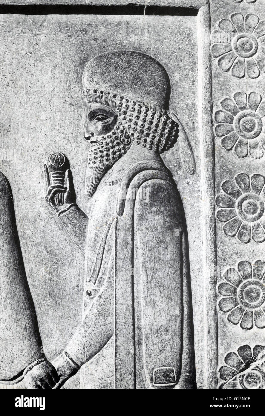 Par les pairs médiane tenant un bourgeon de lotus, l'Est de l'Apadana, escalier dans la capitale de la Perse antique de Persépolis, l'Iran, qui date d'environ 500 avant J.-C.. Banque D'Images