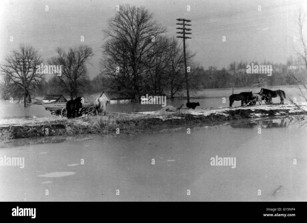 L'inondation de la rivière Ohio de 1937 a eu lieu à la fin de janvier et février 1937. Avec des dommages s'étendant de Pittsburgh au Caire, l'Illinois, un million de personnes sont sans abri, avec 385 morts et les biens des pertes atteignant 500 millions de dollars (8 milliards de dollars en 2012 Banque D'Images