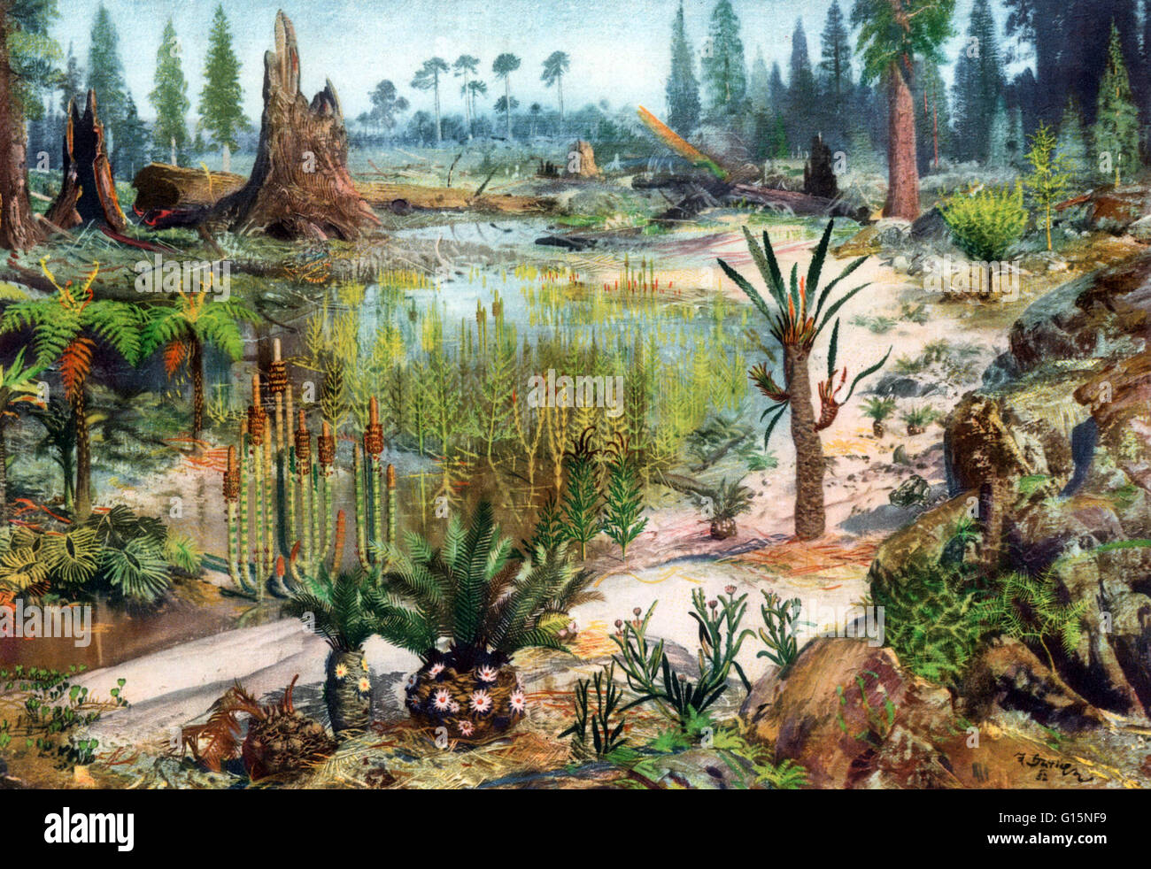 L'ère mésozoïque est un intervalle de temps géologique d'environ 252 à 66 millions d'années. Il est souvent désigné comme l'âge des reptiles parce que les reptiles, à savoir dinosaures non-aviaires, étaient les principaux vertébrés terrestres et marines de l'époque. Le M Banque D'Images