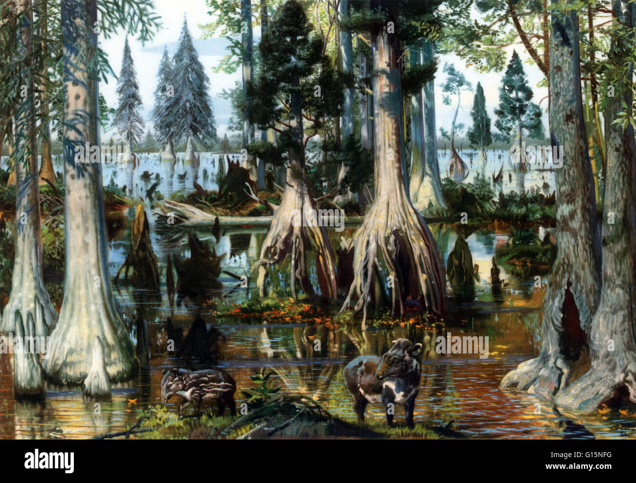 Paysage de l'Éocène (56 à 34 millions d'années). La deuxième plus ancienne des cinq grandes divisions dans le monde entier (époques) de la période tertiaire (Ère cénozoïque), l'intervalle de temps (l'époque) s'étendant de la fin de l'époque Paléocène au début de l'Oligo Banque D'Images