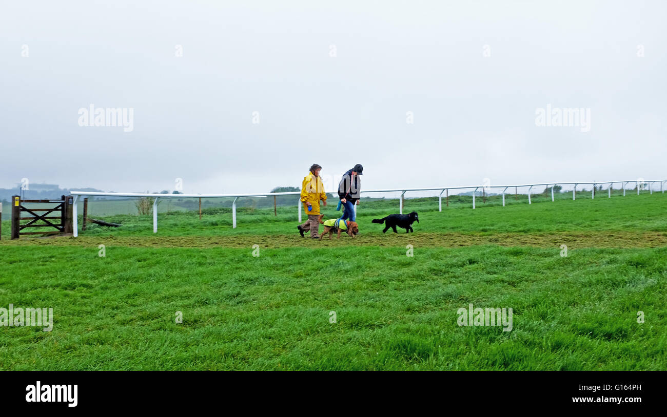 Brighton, UK. 10 mai, 2016. Les promeneurs de chiens Brighton Racecourse cross sous la pluie ce matin que le temps humide balaie le sud de la Grande-Bretagne alors que l'Écosse reste chaude et ensoleillée Crédit : Simon Dack/Alamy Live News Banque D'Images