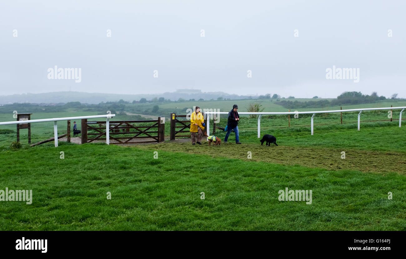 Brighton, UK. 10 mai, 2016. Les promeneurs de chiens Brighton Racecourse cross sous la pluie ce matin que le temps humide balaie le sud de la Grande-Bretagne alors que l'Écosse reste chaude et ensoleillée Crédit : Simon Dack/Alamy Live News Banque D'Images