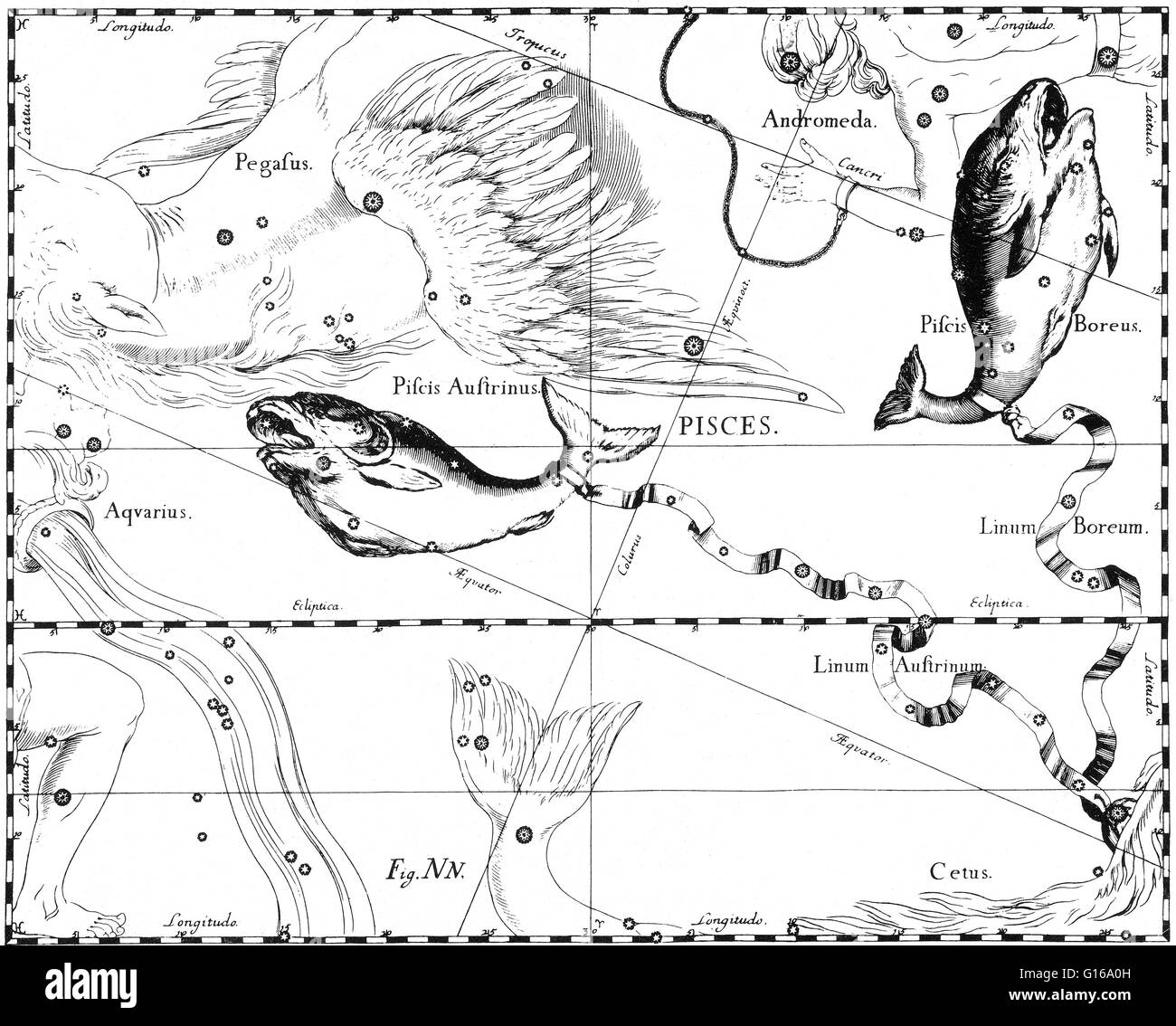 À partir de la constellation des Poissons' Johannes Hevelius Prodromus astronomiae, Firmamentum Sobiescianum, sive Uranographia, 1687. Les poissons sont une constellation du zodiaque. Son nom est le pluriel Latin pour les poissons. C'est l'une des 48 constellations décrites par le 2e Banque D'Images