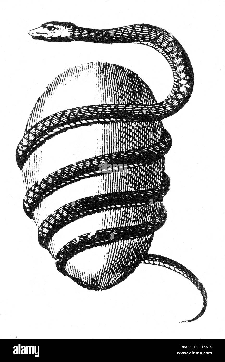 L'Œuf orphique par Artiste Jacob Bryant. Dans l'ancienne tradition orphique grec est l'œuf cosmique d'où éclosent la déité hermaphrodite primordial/Protogonus Phanes, qui a créé les autres dieux. L'œuf symbolise la croyance en l'Orphique Grec Banque D'Images