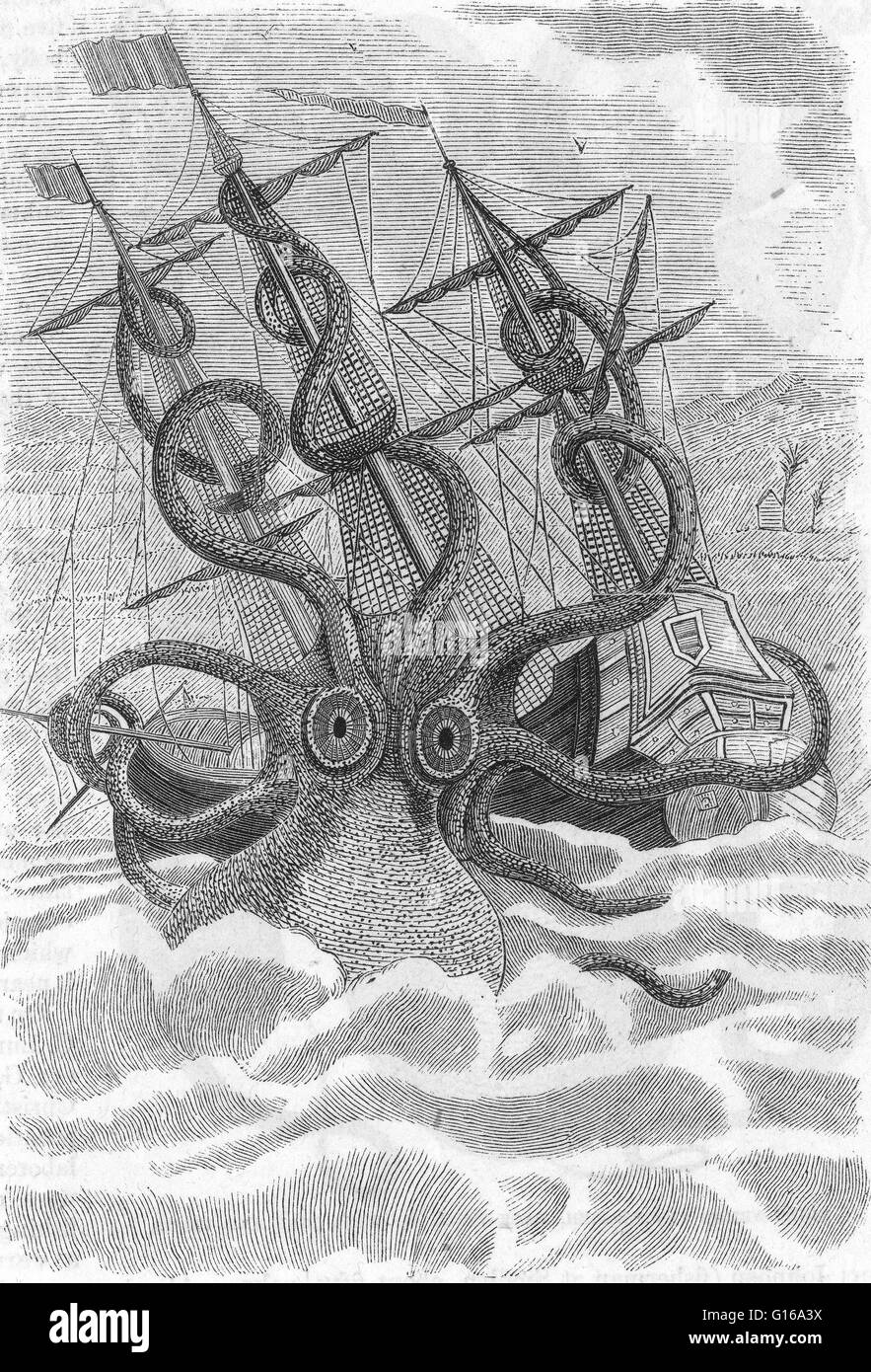Le poulpe colossal Dessin de Pierre Dénys de Montfort malacologue, 1801, à partir de la description des marins français auraient attaqué par une telle créature au large de l'Angola. Aussi identifié comme un Kraken. La légende peut être originaire d'observations Banque D'Images