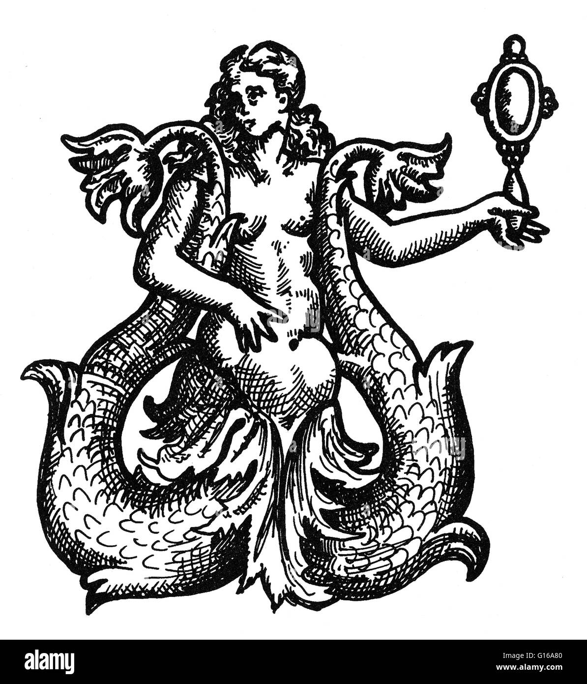 Une sirène est une créature aquatique légendaire avec le haut du corps d'une femme humain et la queue d'un poisson. Les sirènes apparaissent dans le folklore de nombreuses cultures dans le monde, y compris le Proche-Orient, d'Europe, d'Afrique et d'Asie. Les sirènes sont parfois associés à des pe Banque D'Images