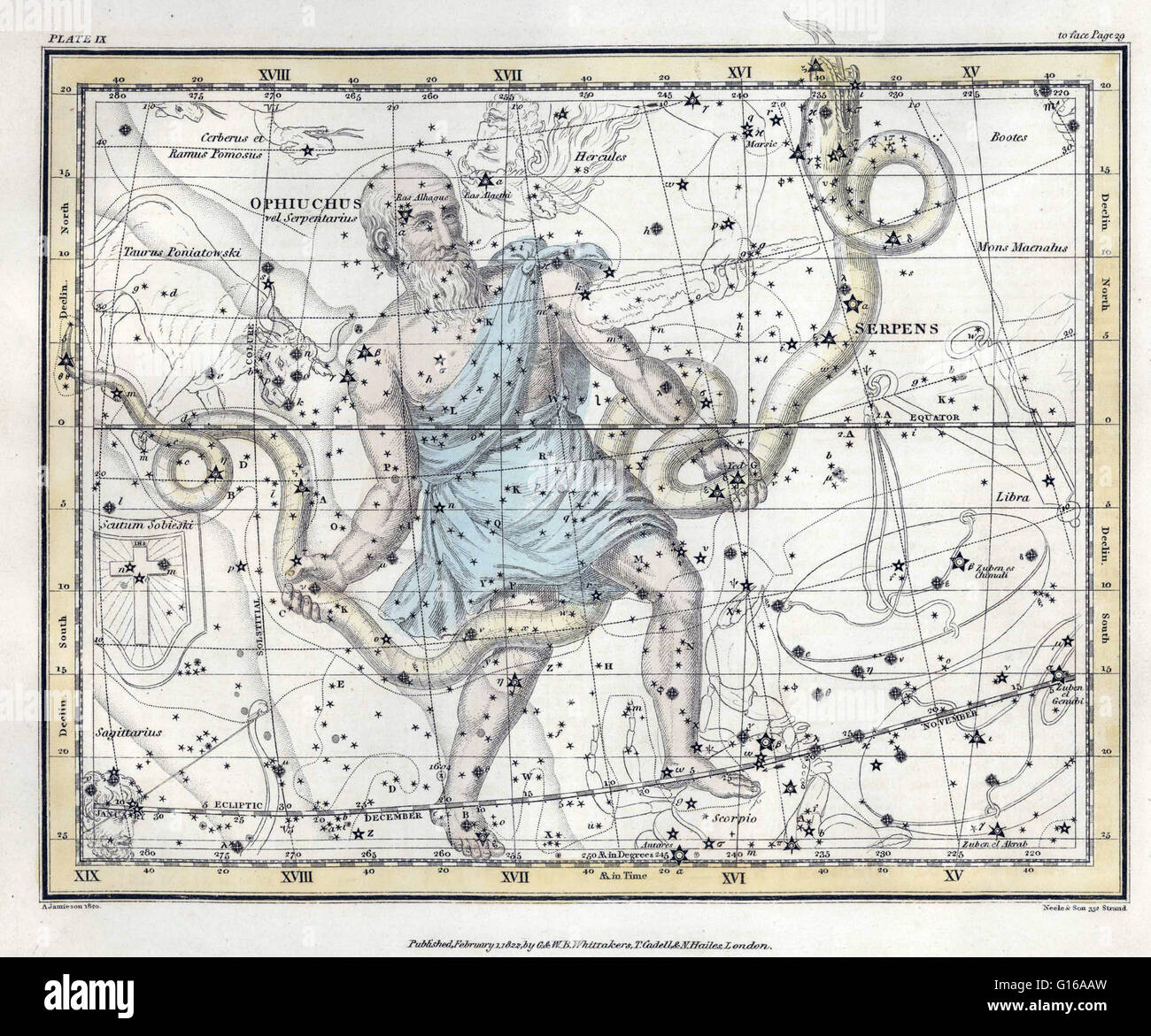 Ophiuchus est une grande constellation situé autour de l'équateur céleste. Il est généralement représenté comme un homme tenant le serpent qui est représenté par la constellation du Serpent. Serpens est unique parmi les constellations modernes en étant divisé en deux Banque D'Images