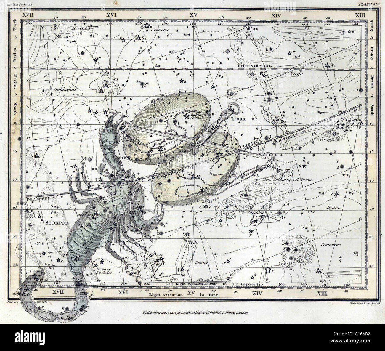 Scorpius, parfois connu sous le nom de Scorpion, est l'une des constellations du zodiaque. Son nom est latin pour scorpion. Dans la mythologie grecque les mythes associés avec Scorpion presque toujours aussi comporter une référence à Orion. Selon un de ces mythes Ori Banque D'Images