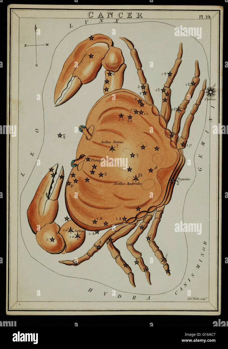 Tableau montrant astronomiques formant la constellation du crabe. Le cancer est l'une des constellations du zodiaque. C'est l'une des 48 constellations décrites par le 2ème siècle, l'astronome Ptolémée et reste l'une des 88 constellations modernes définie par th Banque D'Images