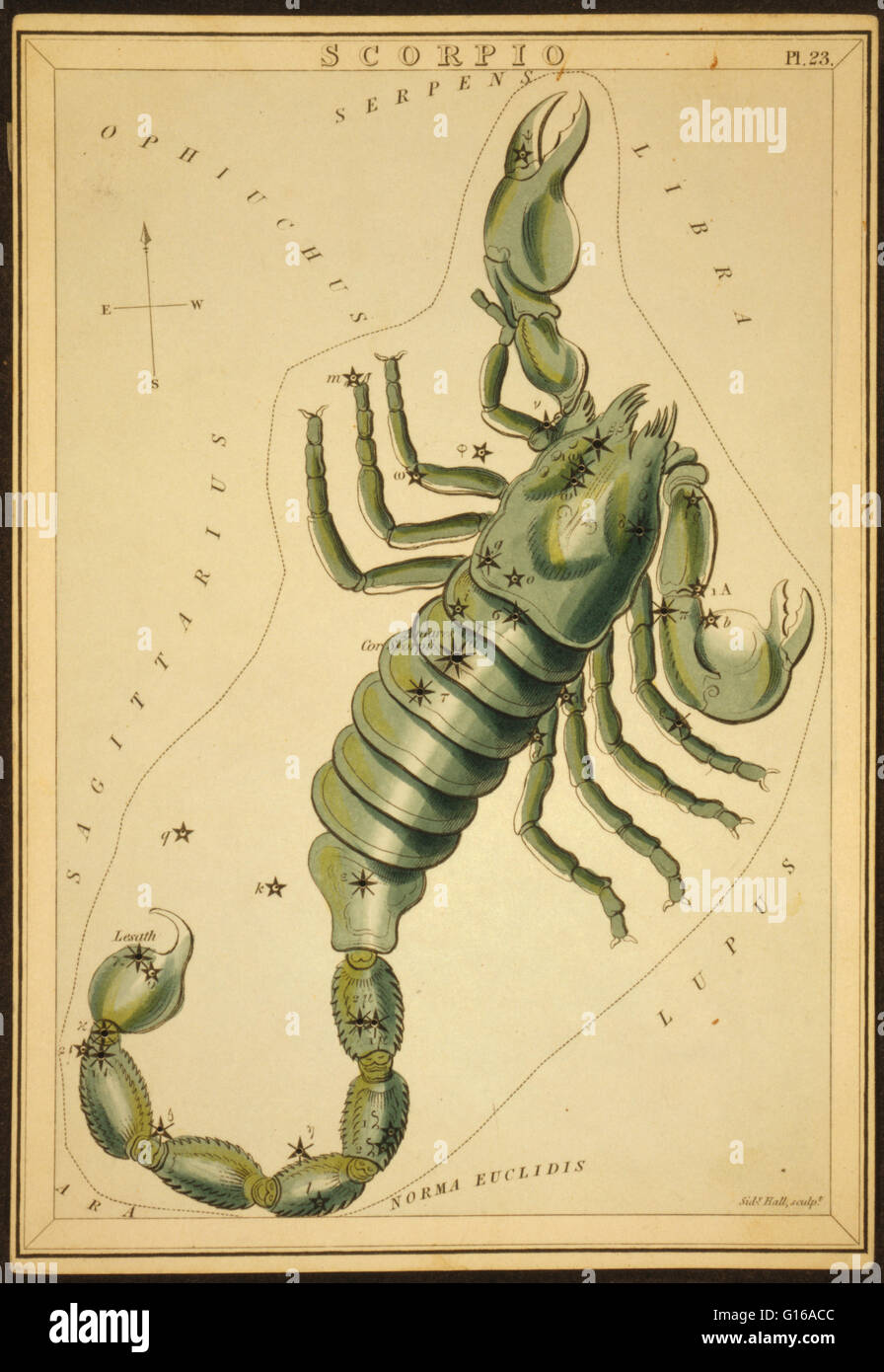Tableau montrant un scorpion astronomiques formant la constellation. Scorpius, parfois connu sous le nom de Scorpion, est l'une des constellations du zodiaque. Son nom est latin pour scorpion. C'est l'une des 48 constellations décrites par l'astronome 2e siècle P Banque D'Images