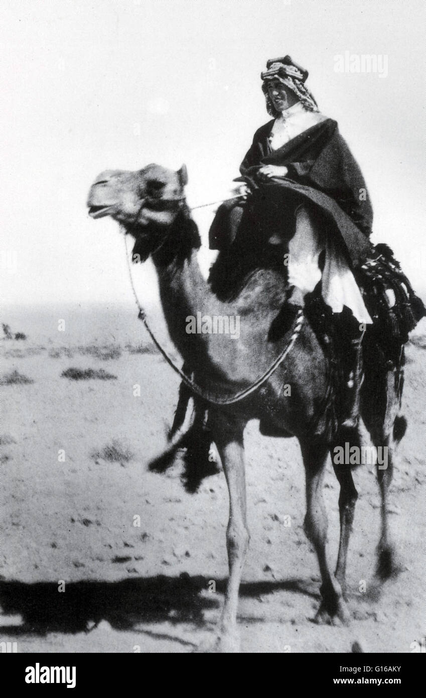 Photo non datée de T.E. Lawrence à cheval sur un chameau en costume traditionnel arabe. Thomas Edward Lawrence (16 août 1888 - 19 mai 1935), connu comme T. E. Lawrence, était un officier de l'armée britannique célèbre surtout pour son rôle de liaison au cours de la S Banque D'Images