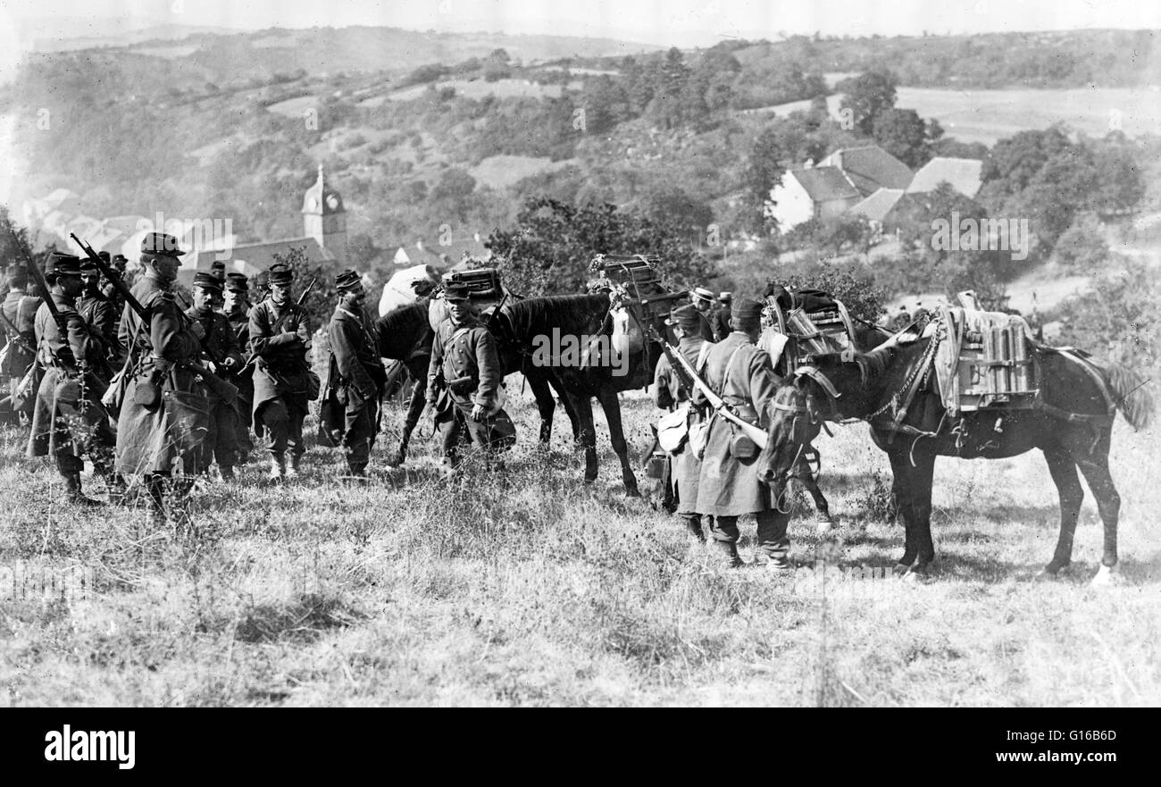 Soldats français avec des chevaux qui transportent des mitrailleuses (mitrailleuses démontées) au début de la guerre Monde I. En janvier 1914, l'armée française avait 47 divisions, composée de 777 000 soldats français et 47 000 troupes coloniales. Un autre 2,9 m Banque D'Images