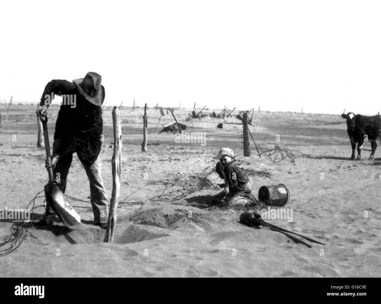 Sa clôture dépassés par la dérive du sable, agriculteur creuse un post. La sécheresse a été terrible pour le bétail. Les pâturages ont disparu et le foin était difficile à obtenir. De nombreux agriculteurs épines brûlées au large des cactus, qu'ils ont ensuite nourri aux animaux affamés. Le bol de poussière, ou le sale Banque D'Images