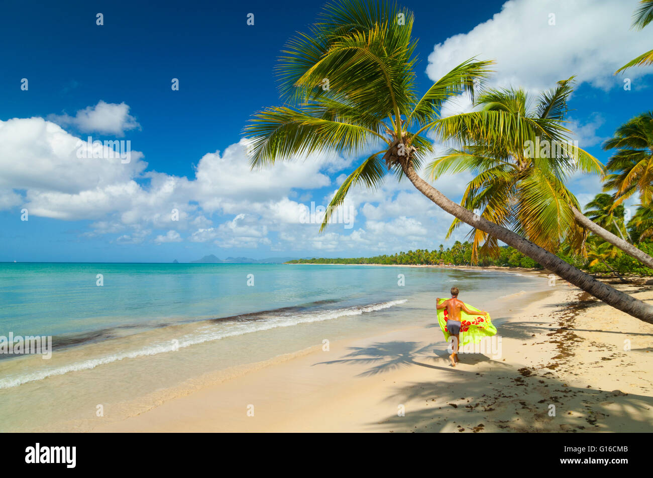 Ile de la Martinique, Sainte Anne, plage de Grande Anse des Salines