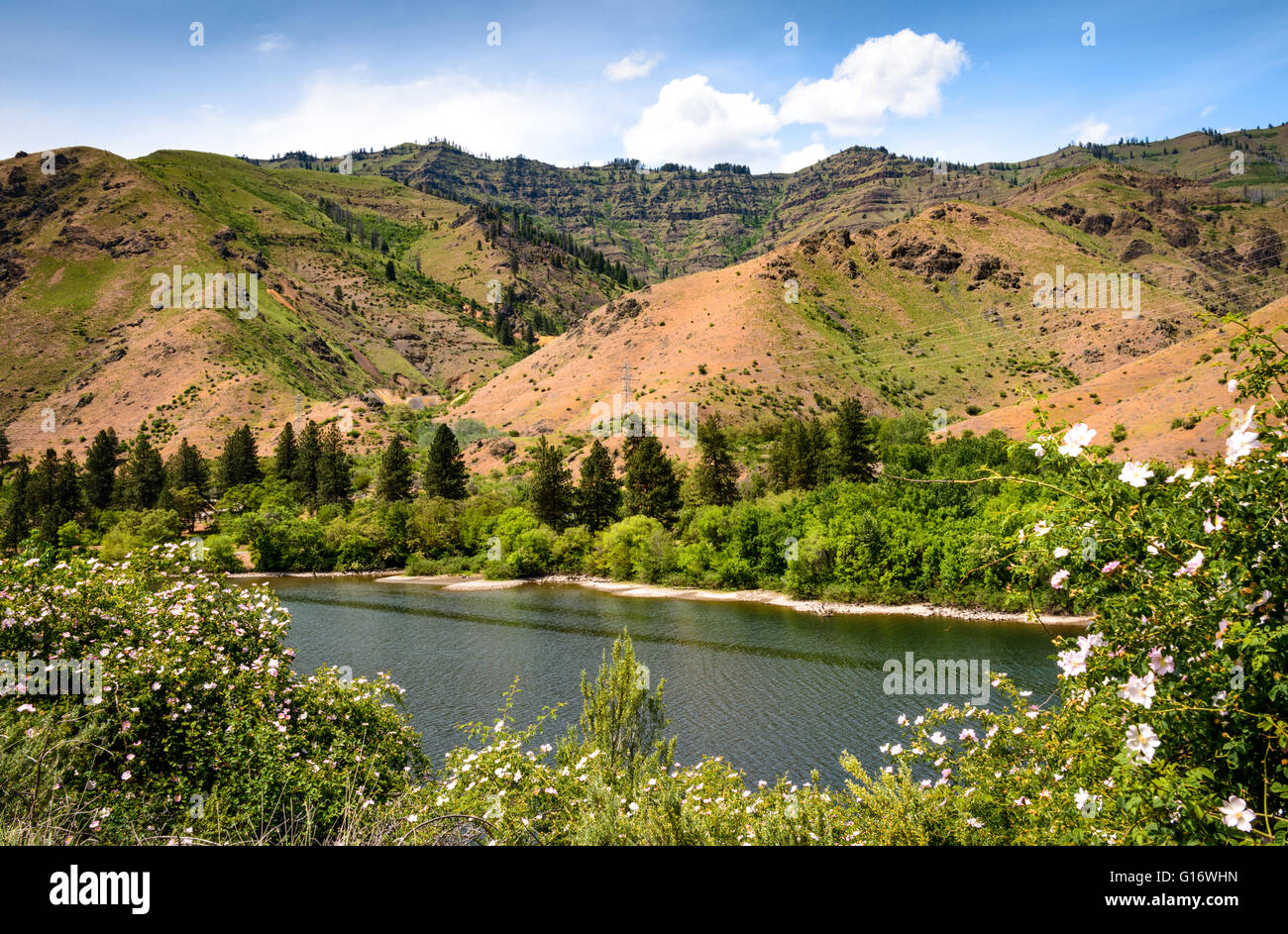 Hells Canyon National Recreation Area Banque D'Images