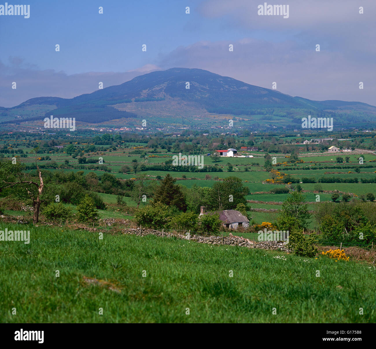 South Armagh campagne avec de Slieve Gullion en arrière-plan, l'Irlande du Nord Banque D'Images