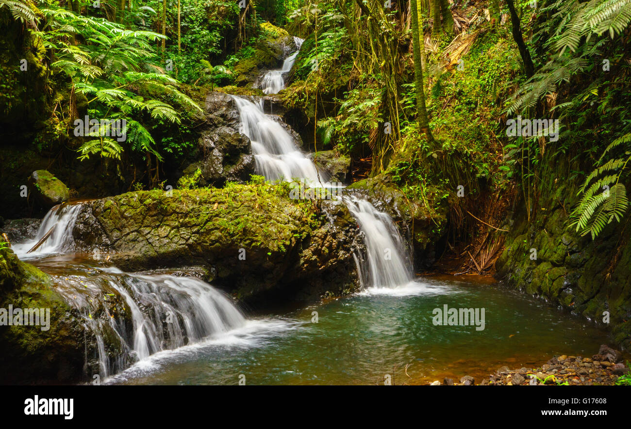 Cascade à plusieurs niveaux, situé au nord de Hilo à Hawaï sur la grande île d'Hawaï. Banque D'Images