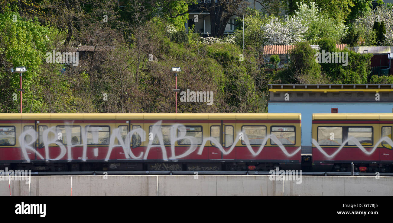 Les graffitis, S-Bahn, Berlin, Deutschland / Strassenbahn Banque D'Images