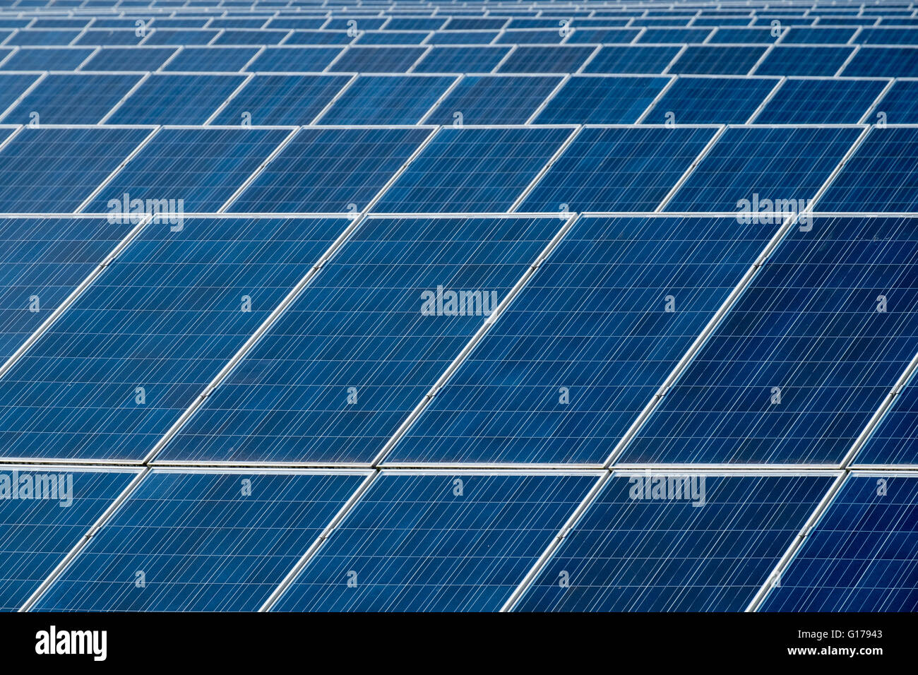 Panneaux solaires sur une ferme solaire, l'Usk, Nouvelle-Galles du Sud Banque D'Images