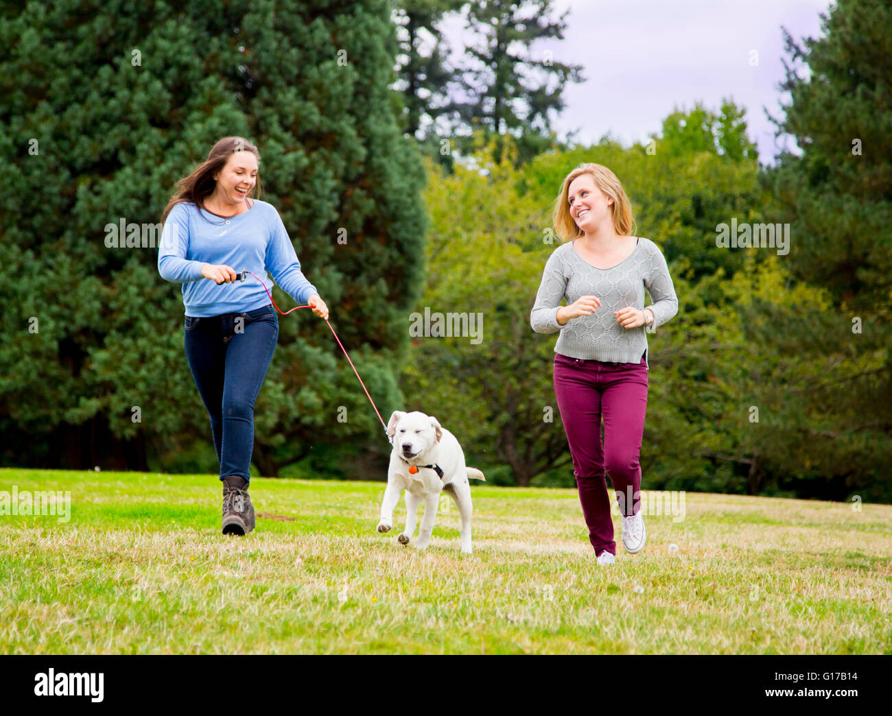 Deux jeunes femmes exécutant avec chien dans park Banque D'Images