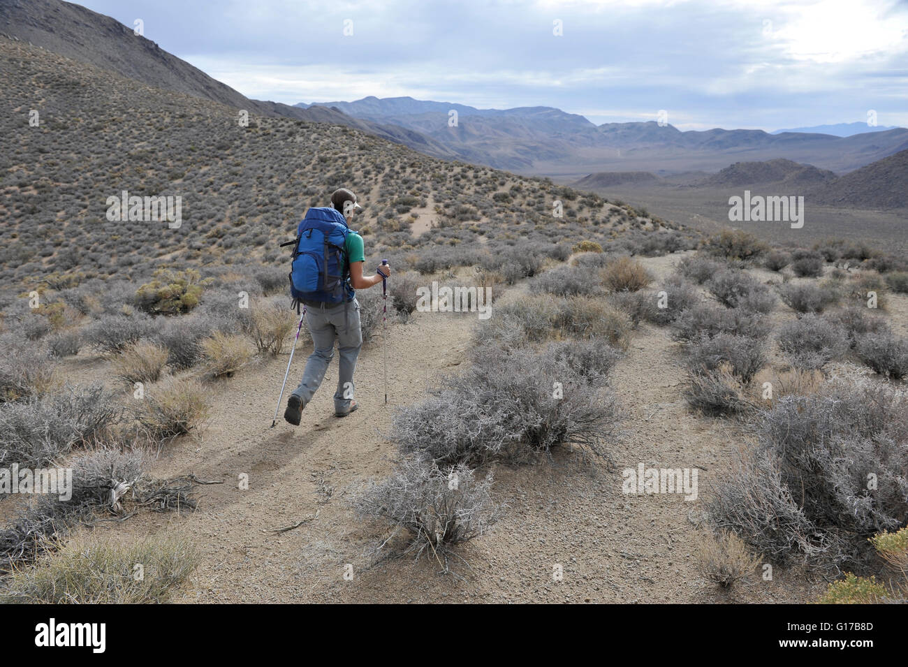L'exploration de randonneur, Cottonwood Canyon désert, Death Valley National Park, Californie Banque D'Images