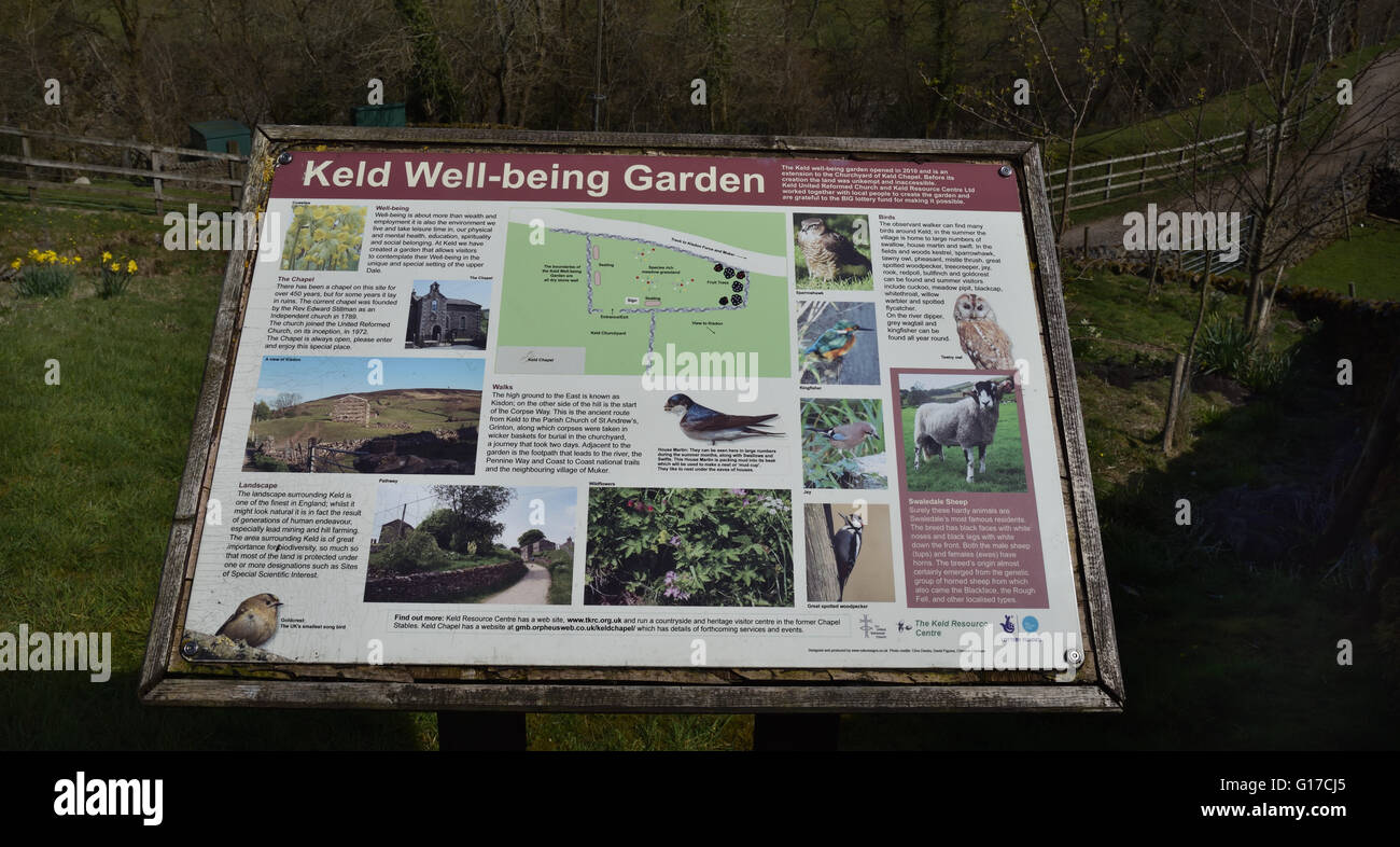 Keld, le bien-être, Jardin, Swaledale, Yorkshire Dales National Park, North Yorkshire, Angleterre, Royaume-Uni. Banque D'Images