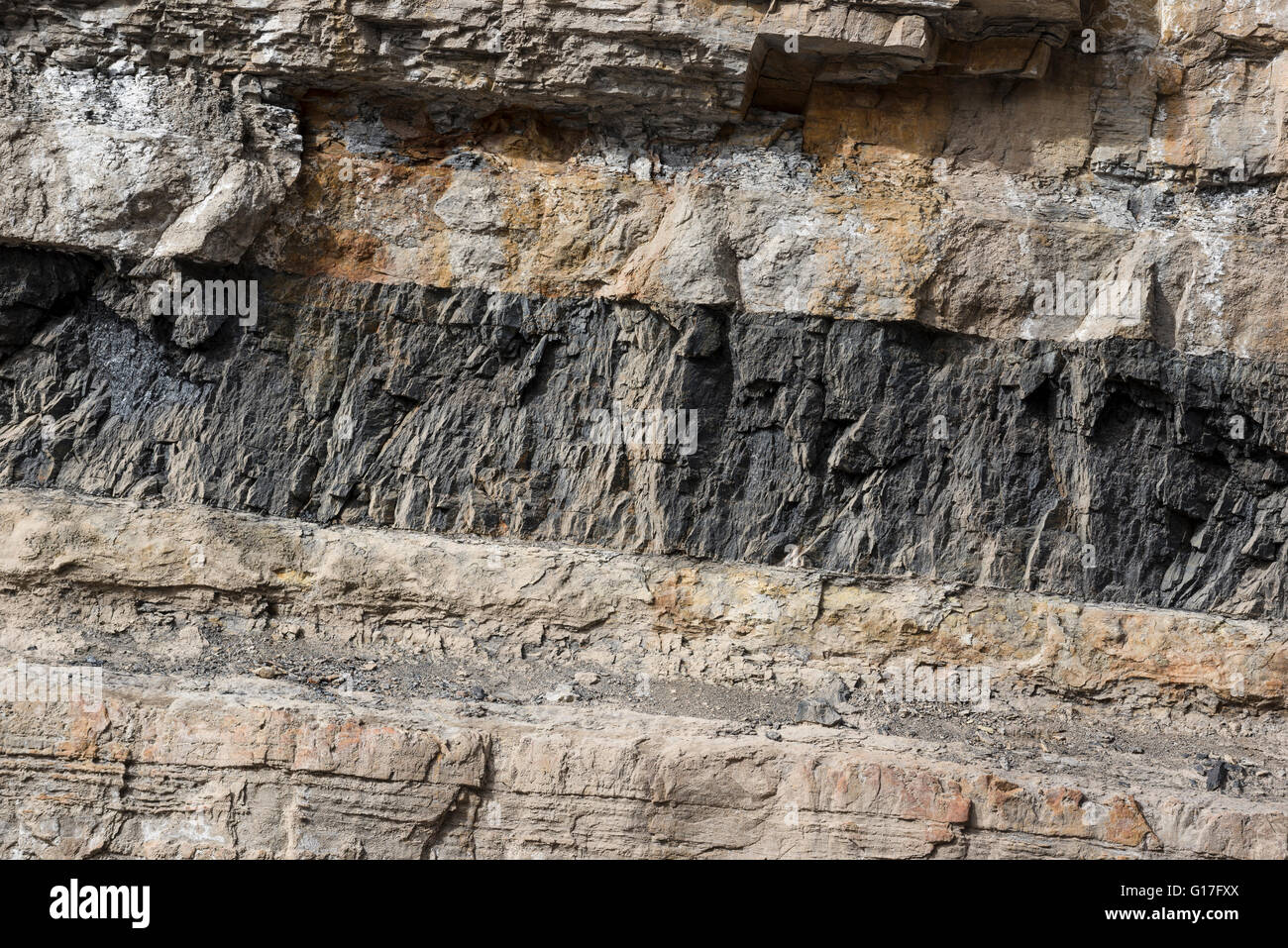 Veine de charbon dans la tranchée de Carbon County, Utah. Banque D'Images