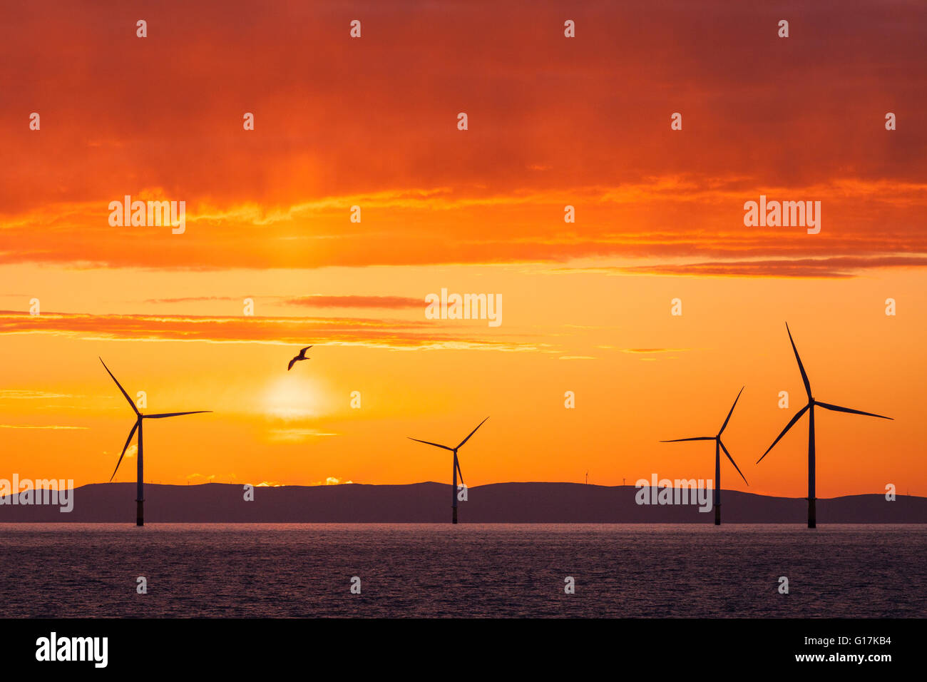 Lever de soleil sur l'éolien offshore Walney au large de la côte de Cumbrie au Royaume-Uni Banque D'Images
