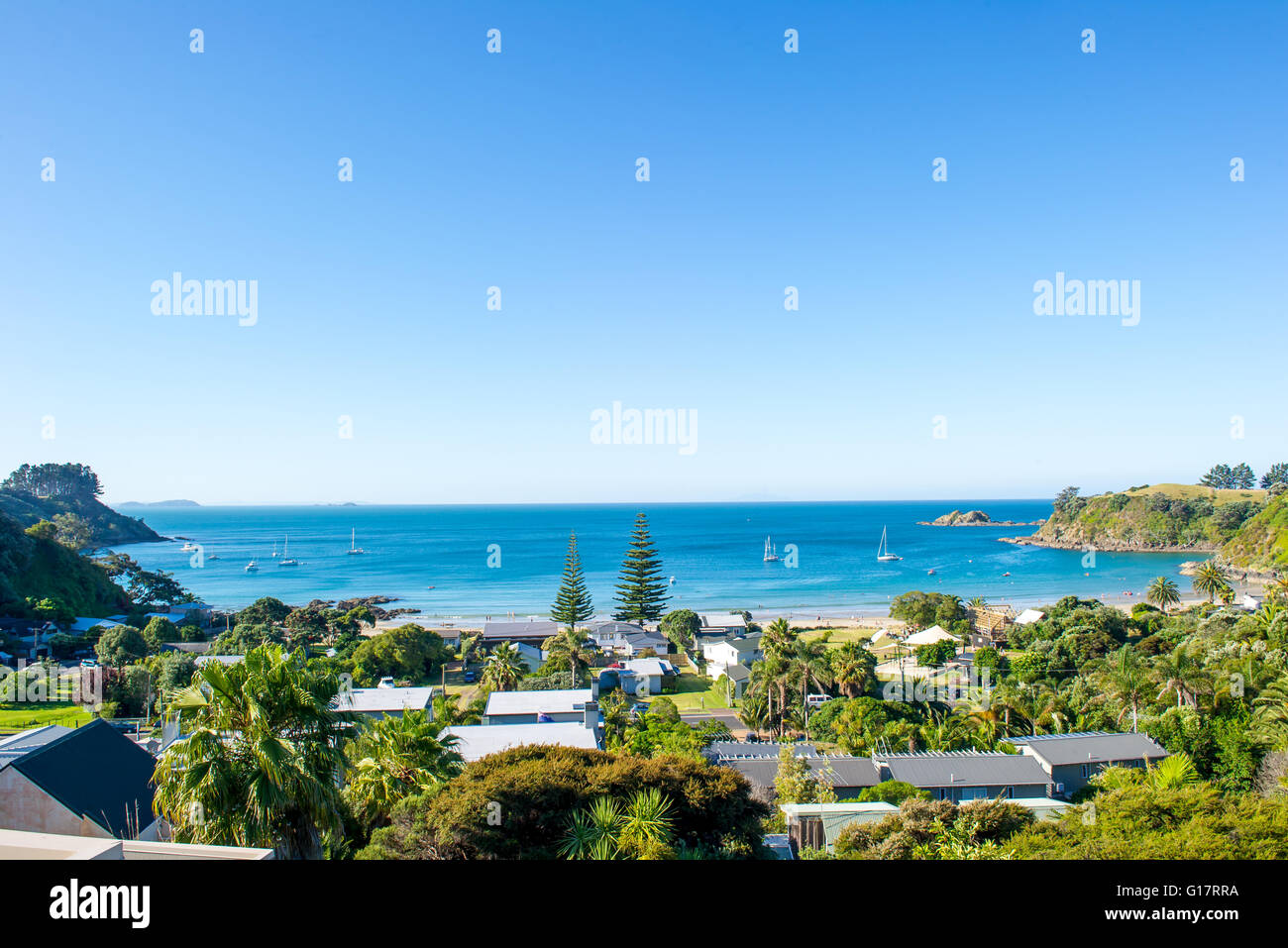 Portrait de Bay et la côte, Waiheke Island, New Zealand Banque D'Images