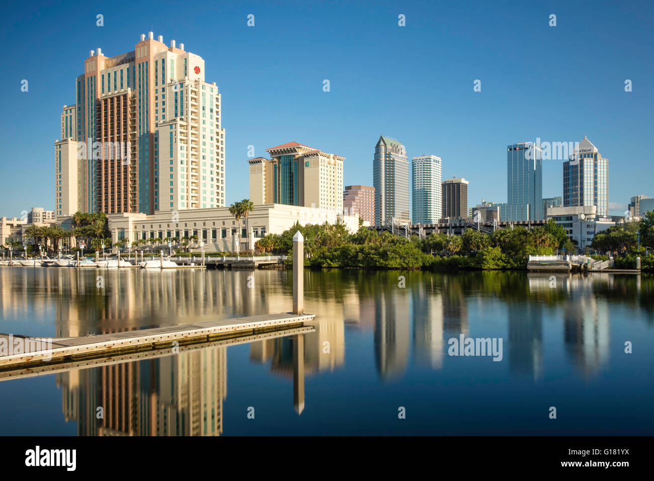 Tôt le matin sur l'horizon de Tampa, Floride, USA Banque D'Images