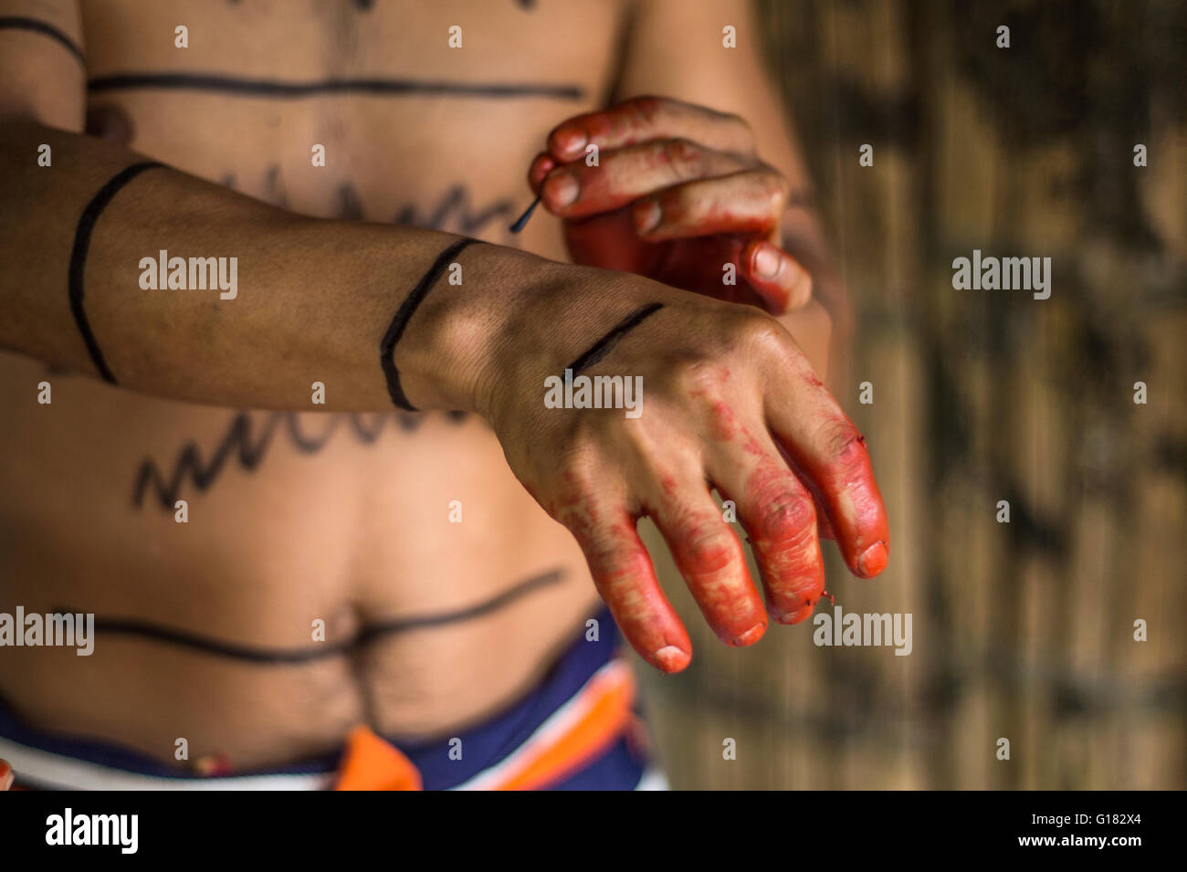 SANTO DOMINGO, l'Équateur, le 26 janvier 2015 : Indian man (Los Colorados Tsáchila) tribu dans les peintures vêtements usine de jus de cheveux Banque D'Images