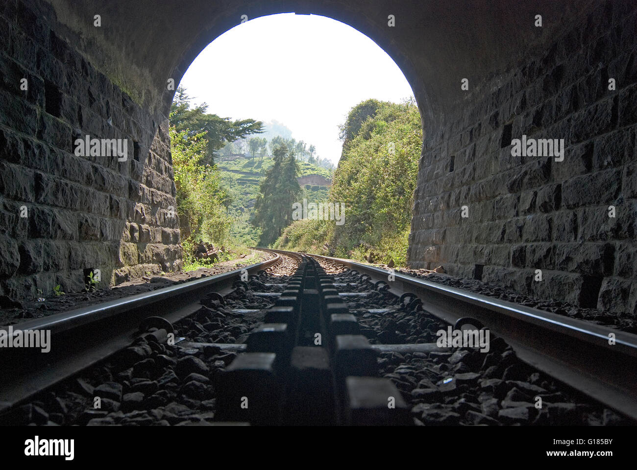 Nilgiri Mountain Railway, un UNESCO World Heritage Railway, Nilgiris, Tamil Nadu Banque D'Images
