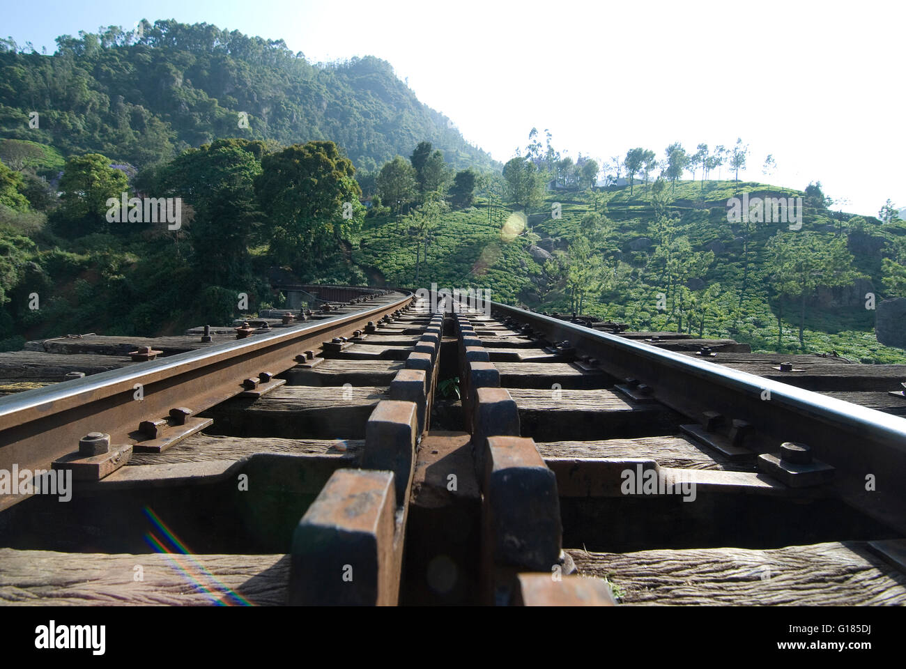 Nilgiri Mountain Railway, un UNESCO World Heritage Railway, Nilgiris, Tamil Nadu Banque D'Images