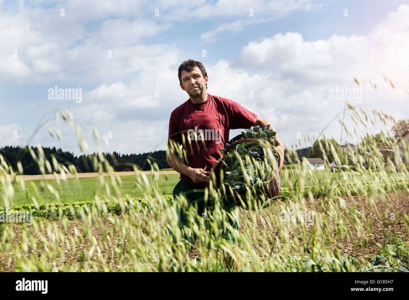 Agriculteur exerçant son panier plein de légumes dans une ferme biologique Banque D'Images