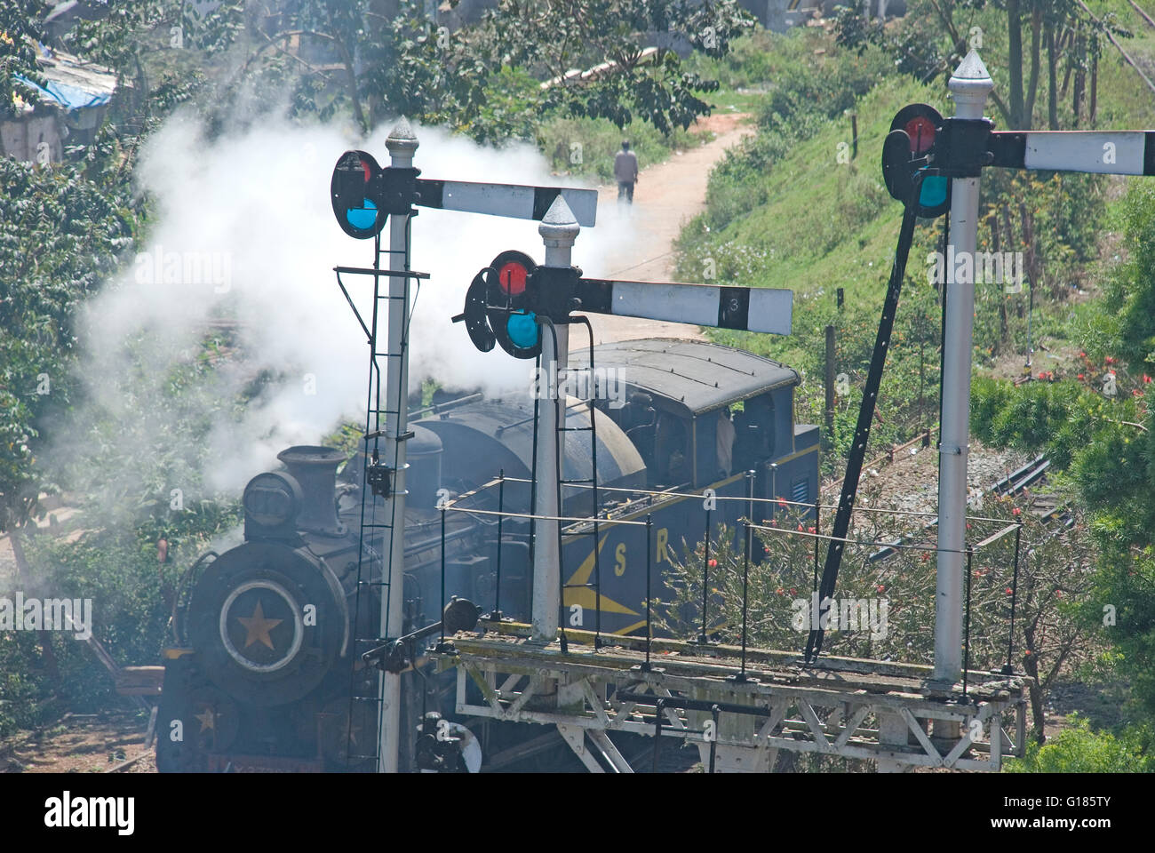 Nilgiri Mountain Railway, un UNESCO World Heritage Railway, Nilgiris, Tamil Nadu Banque D'Images
