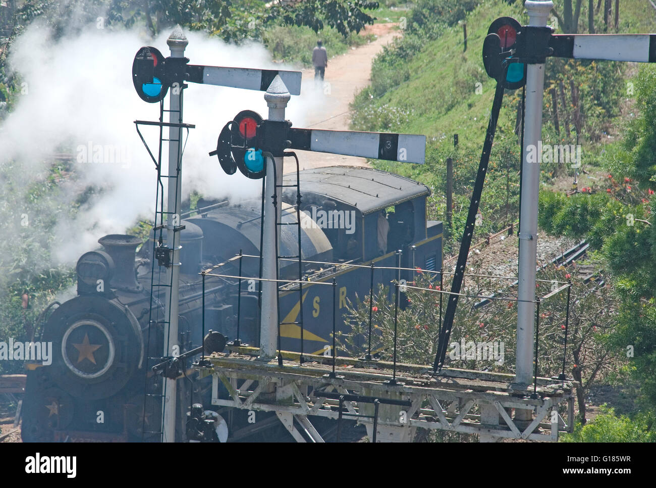 Nilgiri Mountain Railway, un UNESCO World Heritage Railway, Nilgiris, Tamil Nadu Banque D'Images