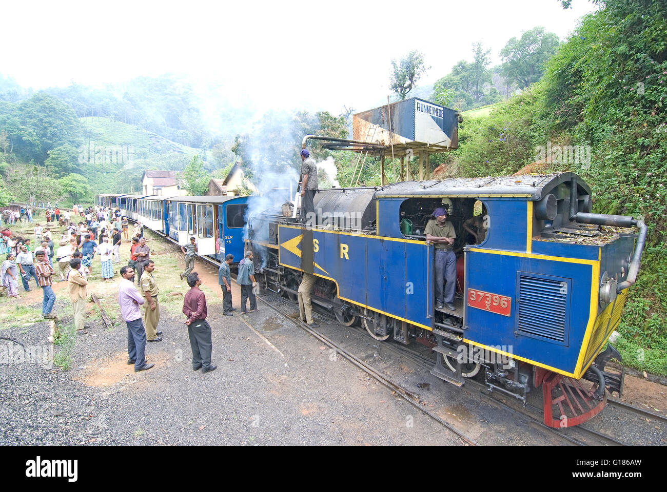 Nilgiri Mountain Railway, un UNESCO World Heritage Railway, Nilgiris, Tamil Nadu Banque D'Images