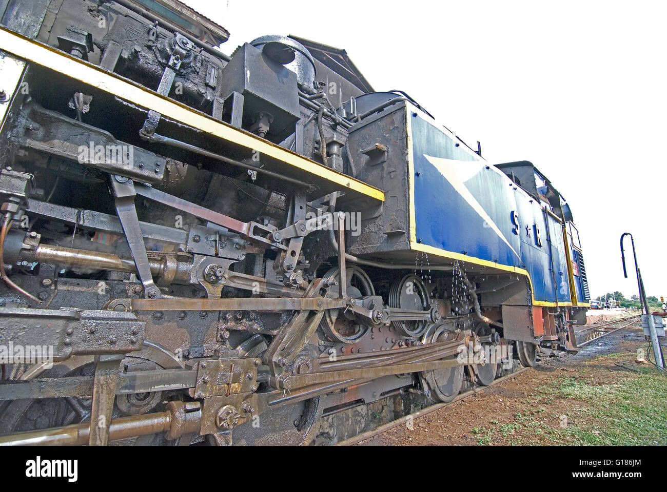 Nilgiri Mountain Railway, un UNESCO World Heritage Railway, Nilgiris, Tamil Nadu Banque D'Images