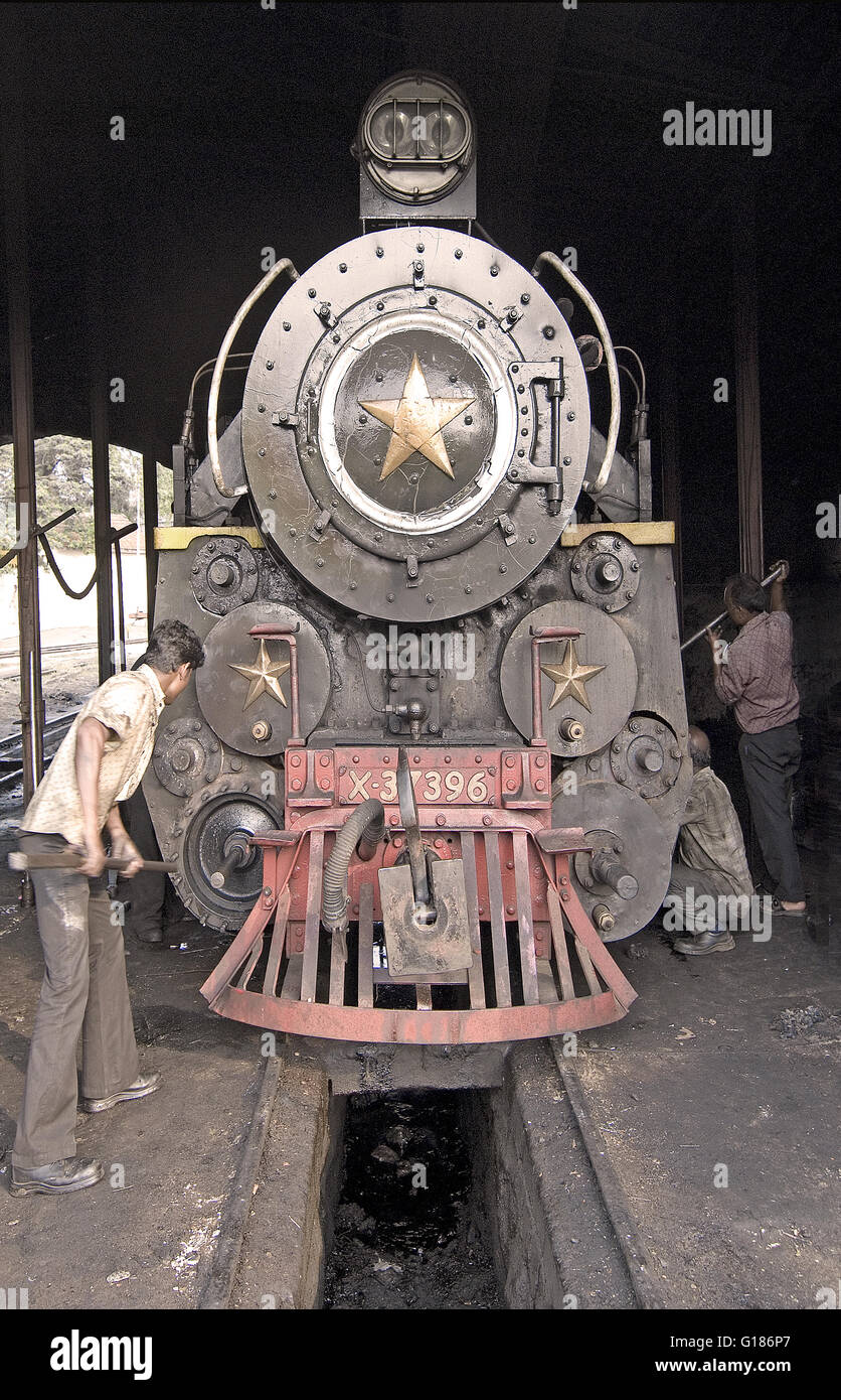 Nilgiri Mountain Railway, un UNESCO World Heritage Railway, Nilgiris, Tamil Nadu Banque D'Images