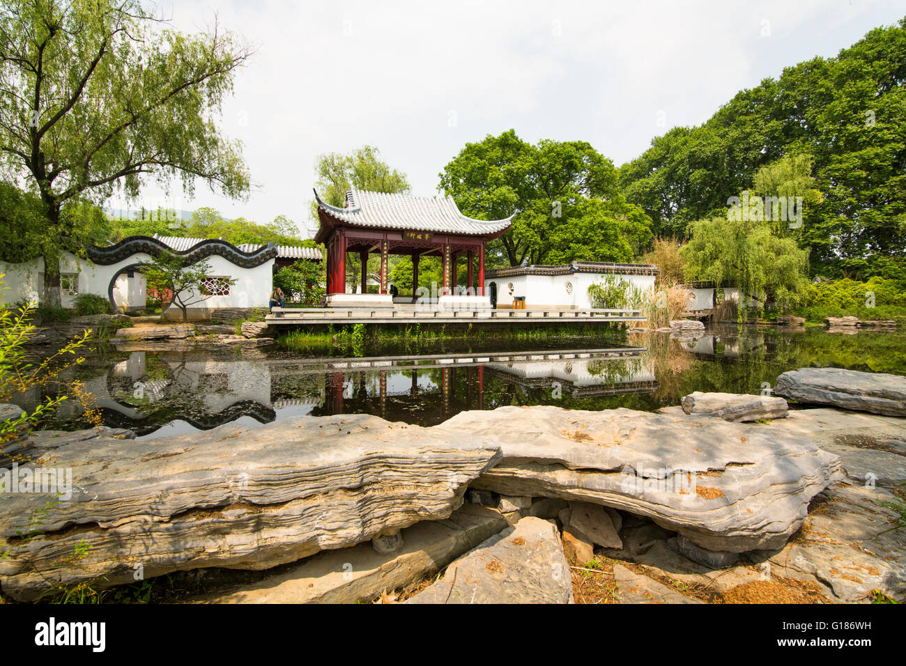 Jardin chinois classique avec un étang, des roches et de la nature à la Purple Mountain à Nanjing, Chine Banque D'Images