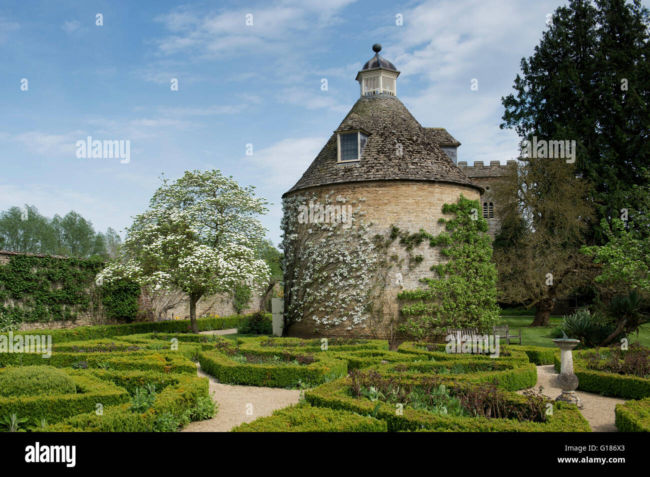 L'espalier arbre fruitier en fleurs contre le pigeonnier à Rousham House et jardin. Oxfordshire, Angleterre Banque D'Images