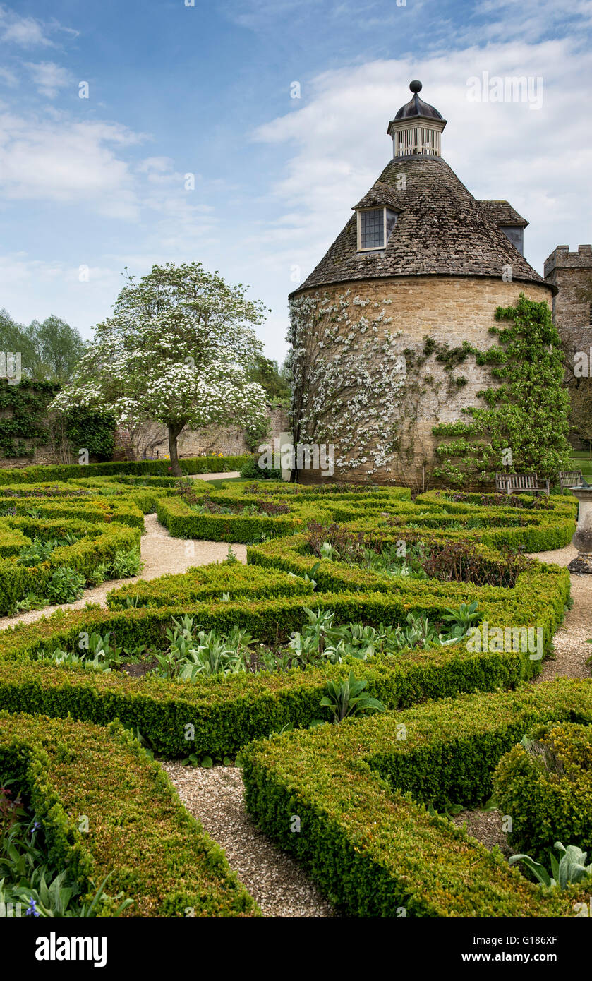 L'espalier arbre fruitier en fleurs contre le pigeonnier à Rousham House et jardin. Oxfordshire, Angleterre Banque D'Images