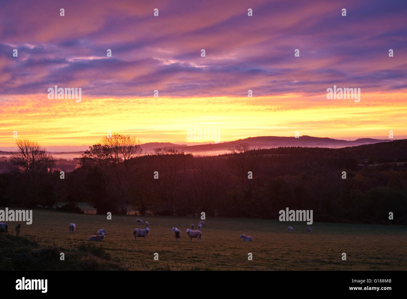 Lever de soleil spectaculaire en novembre dans les montagnes de Wicklow, Irlande Banque D'Images