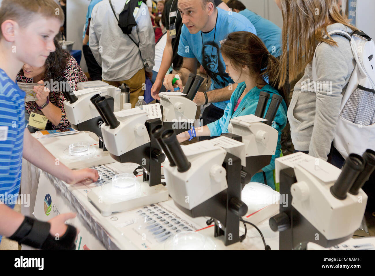 Les enfants à l'aide de microscopes à science fair - USA Banque D'Images
