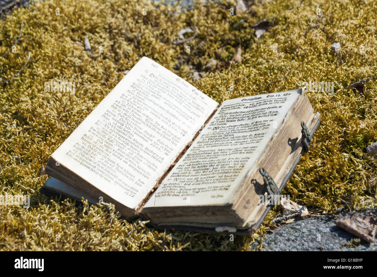 Ancienne Bible Suédoise Sur Mousse Du Xviiie Siècle Photo Stock - Alamy